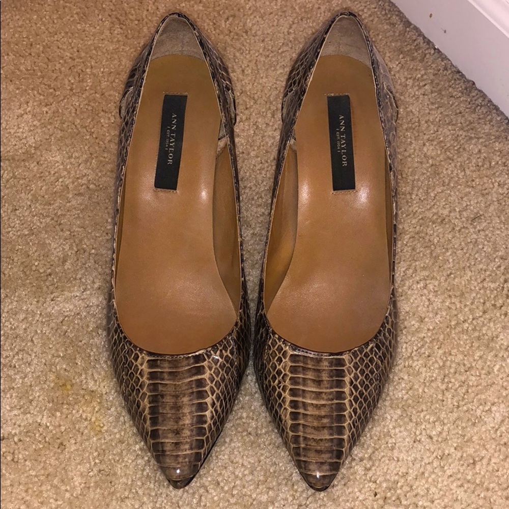 Ann Taylor snake print pumps
